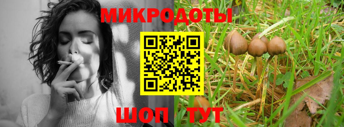 Псилоцибиновые грибы мицелий Зеленодольск