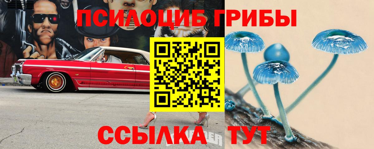 Псилоцибиновые грибы мицелий  Галлюциногенные грибы мухоморы  Зеленодольск  Вход с VPN 